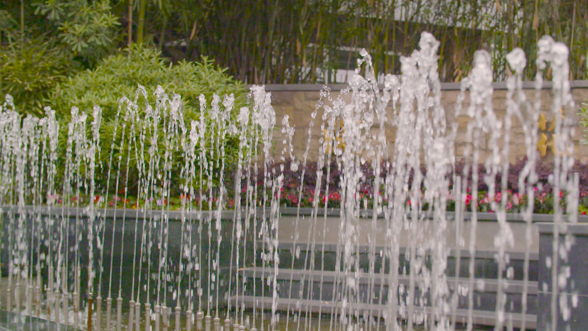 1080P公园喷泉喷水升格实拍视频的预览图