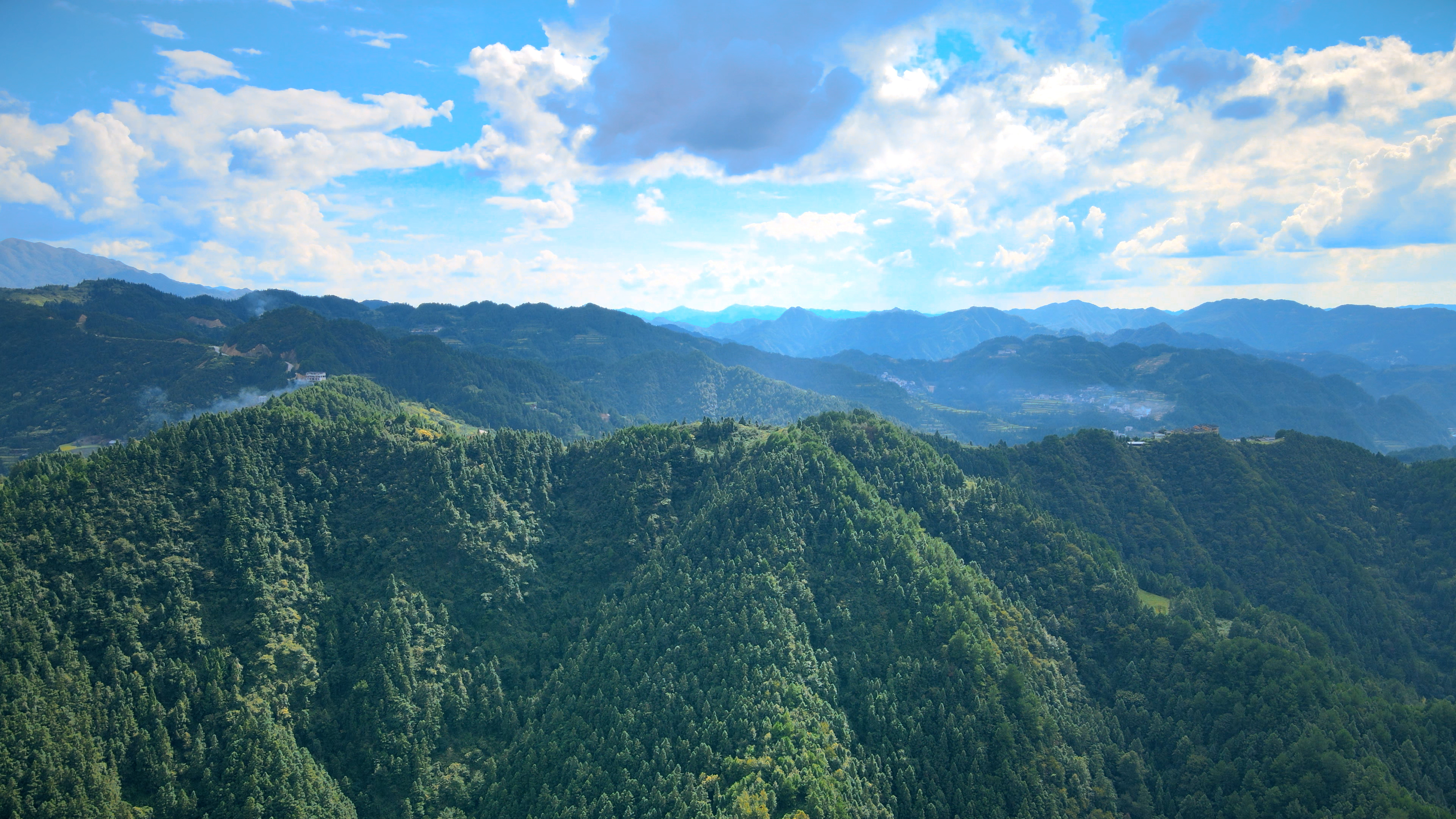 4K震撼航拍贵州云贵高原树林茂密视频的预览图