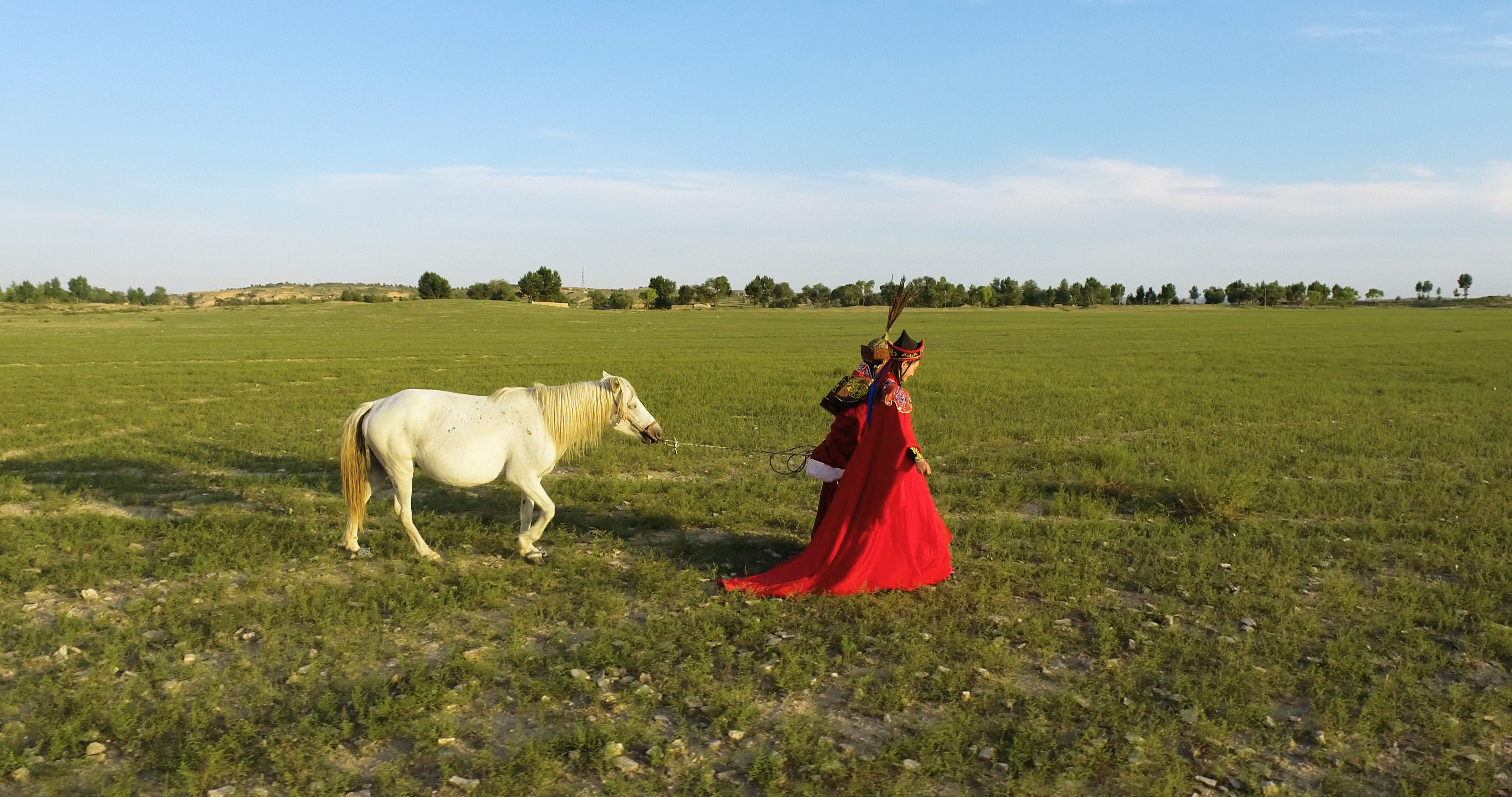 牧民在草原牵马4K航拍视频的预览图