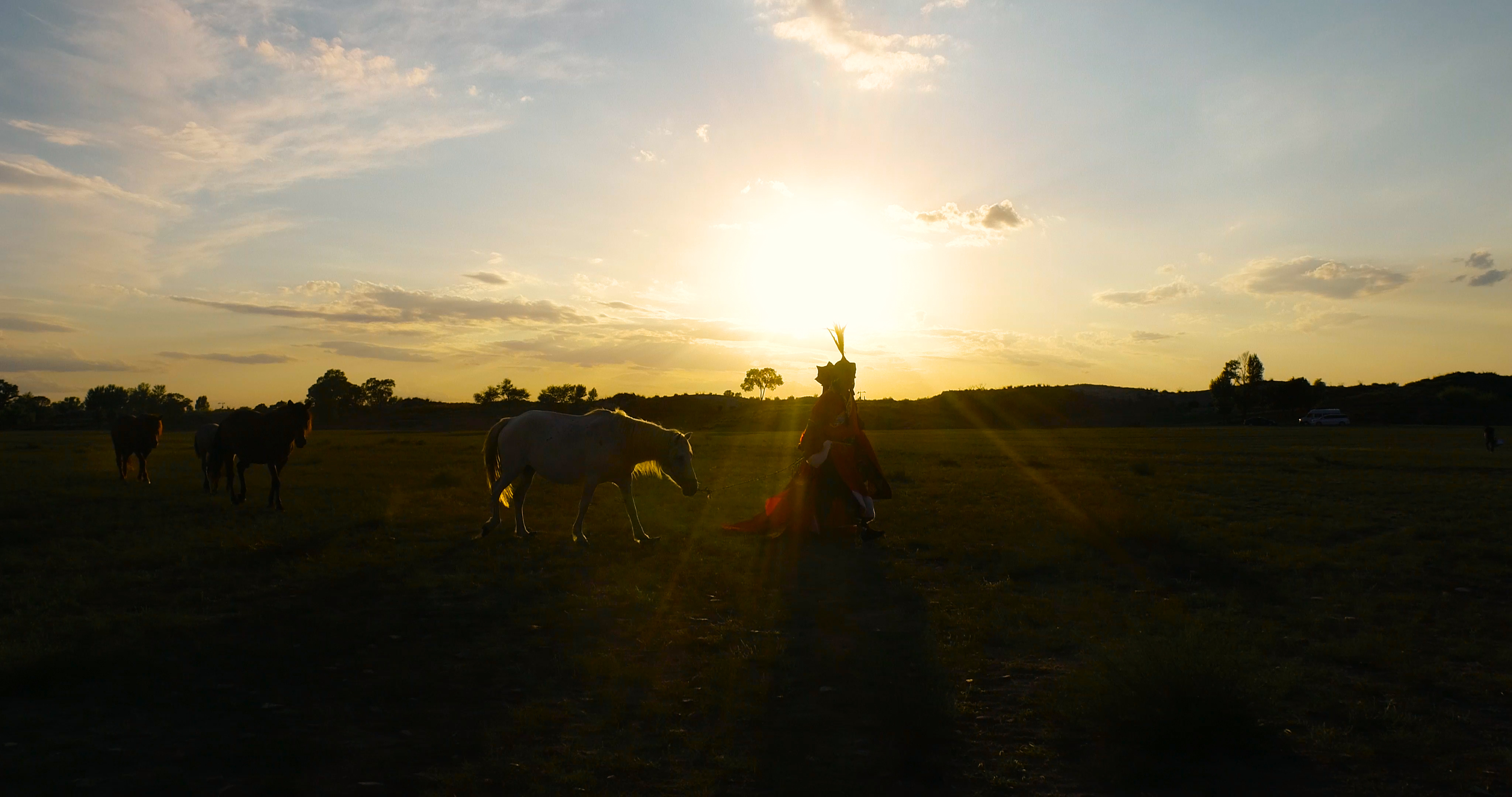 夕阳下牧民牵马4K航拍视频的预览图