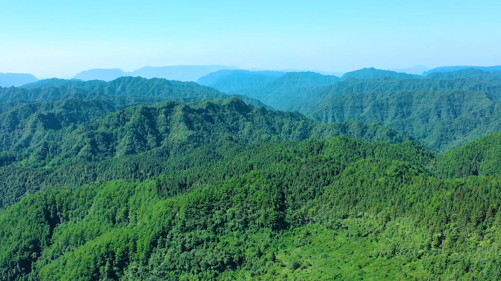 4k航拍自然风光森林大自然视频的预览图