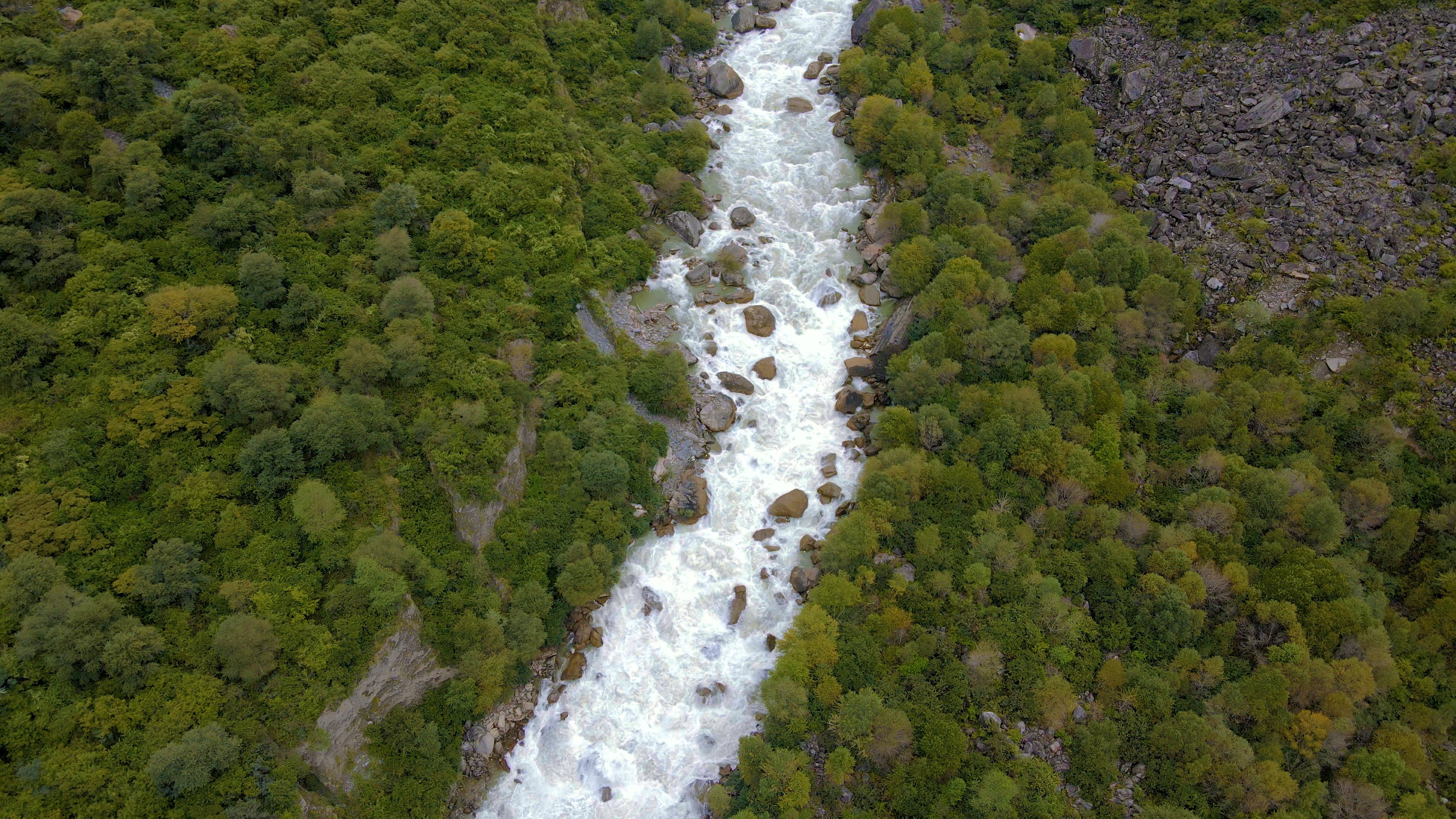 4K航拍森林小溪河流河谷水流水资源视频的预览图