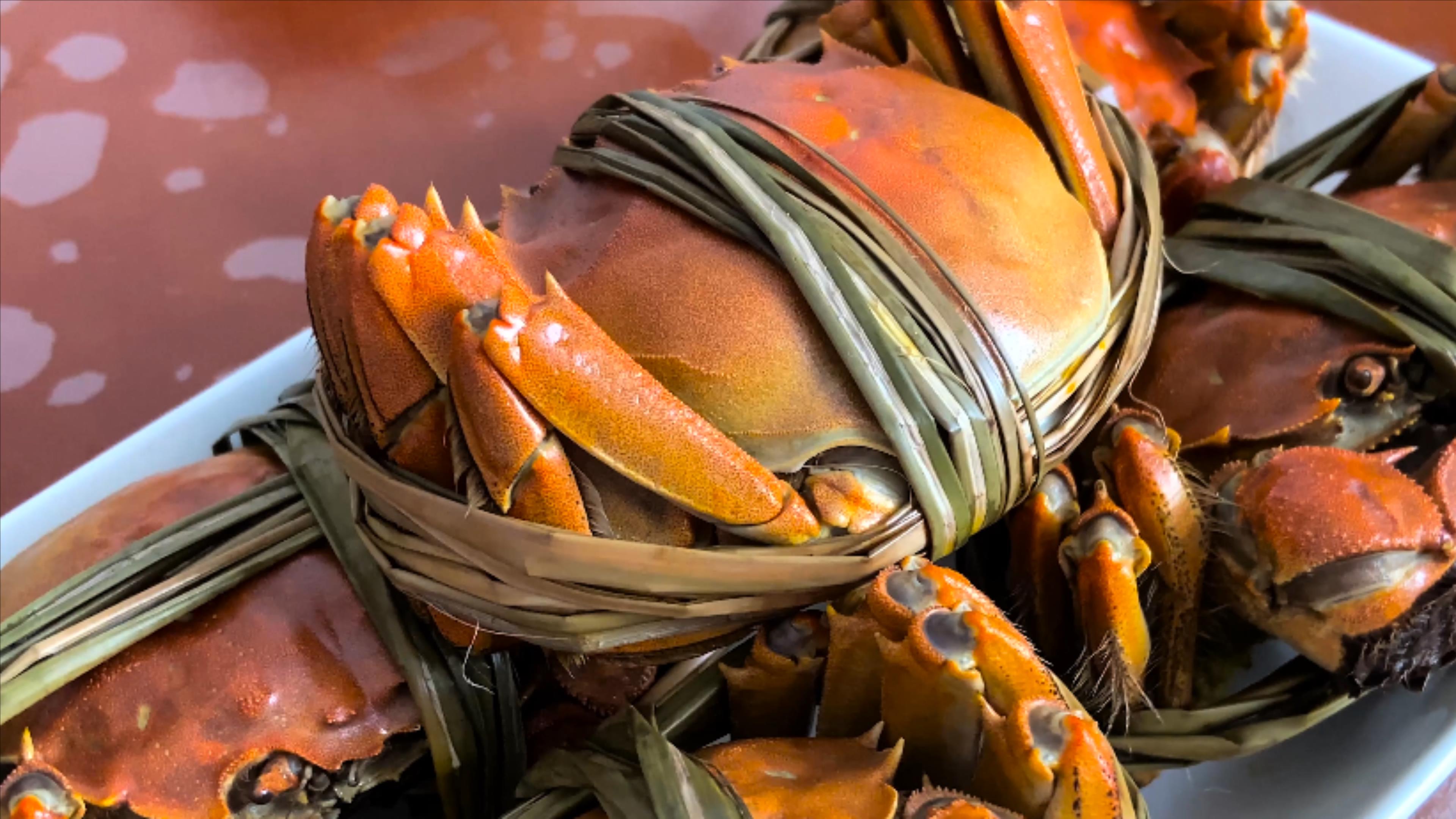 4K实拍美食螃蟹河鲜美味视频的预览图