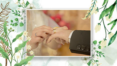 清新唯美婚礼结婚相册图文暖场ae模板视频的预览图