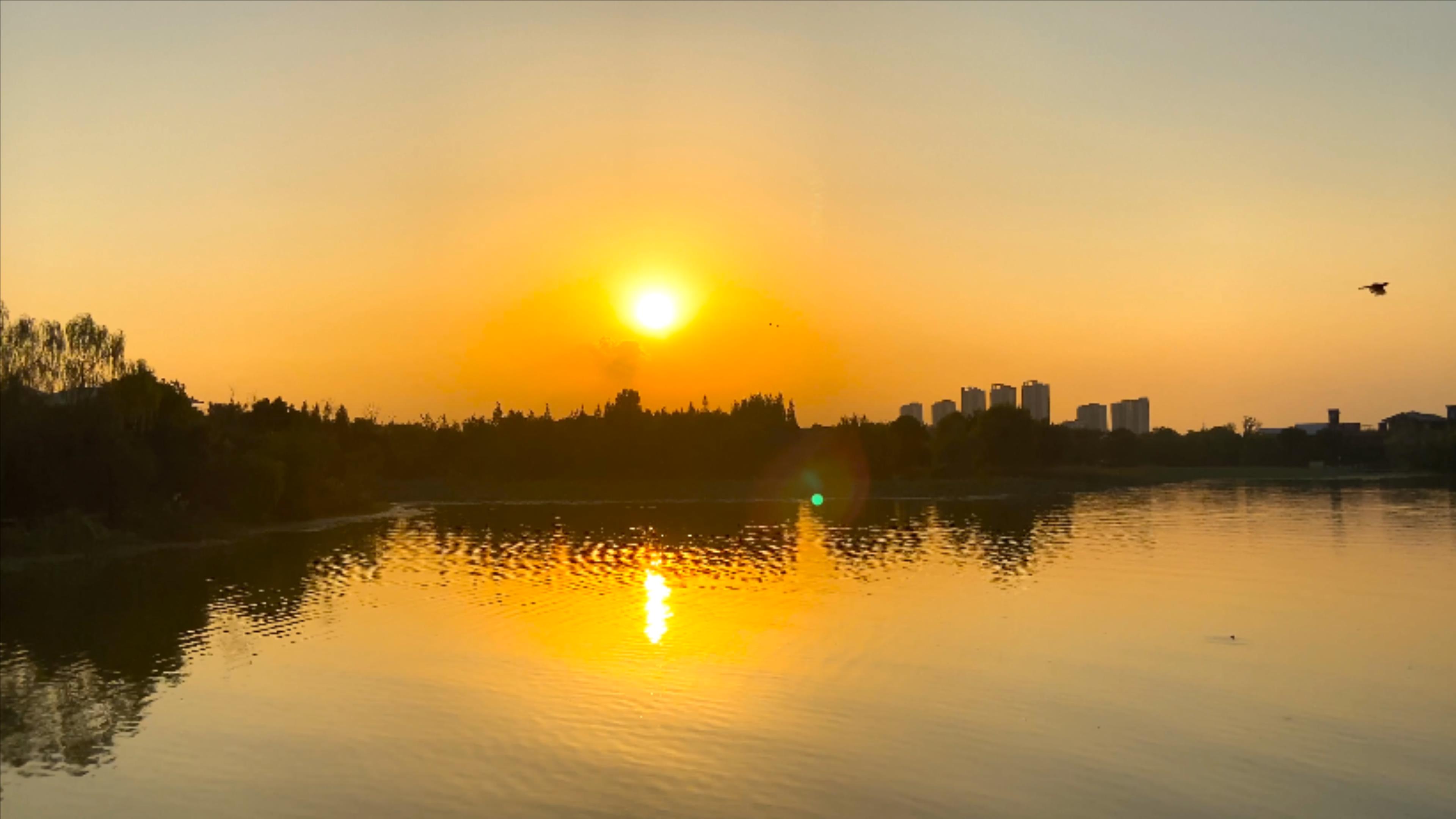 4K实拍夕阳美景夕阳倒影在水中视频的预览图