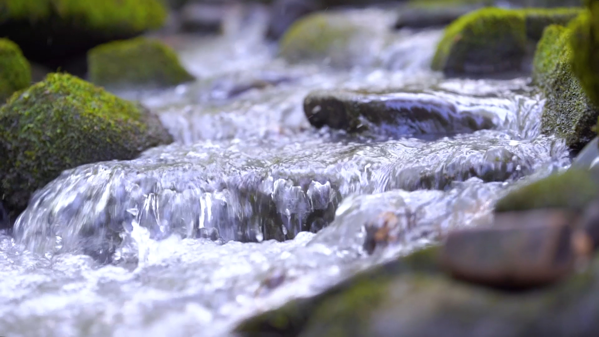 4K实拍溪流河流小溪水流风景风光视频的预览图
