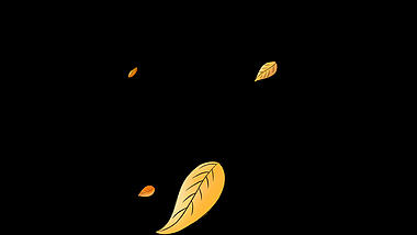 秋天秋季落叶树叶随风飘落漂浮通道挂件视频的预览图