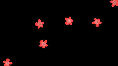 飘落漂浮小红花花朵花通道挂件视频的预览图
