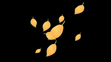 金色秋天飘零落叶漂浮飘落树叶带通道挂件视频的预览图