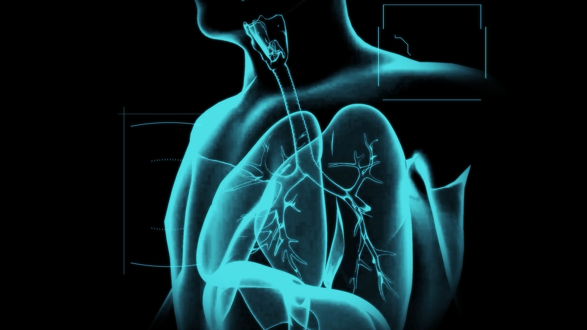 肺部人体医疗透明通道素材模板视频的预览图
