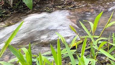 4K实拍自然风景山间泉水溪流流水视频的预览图