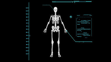 人体全身骨头模型医疗透明通道素材视频的预览图