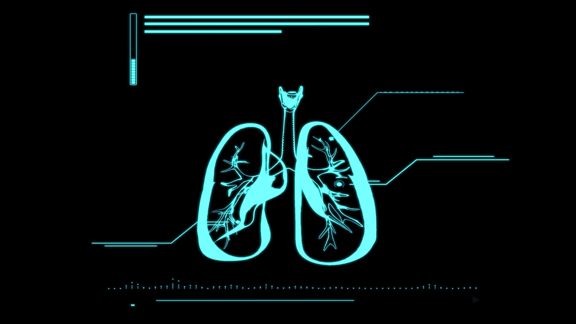 肺部人体医疗透明通道素材视频的预览图