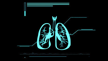 肺部人体医疗透明通道素材视频的预览图