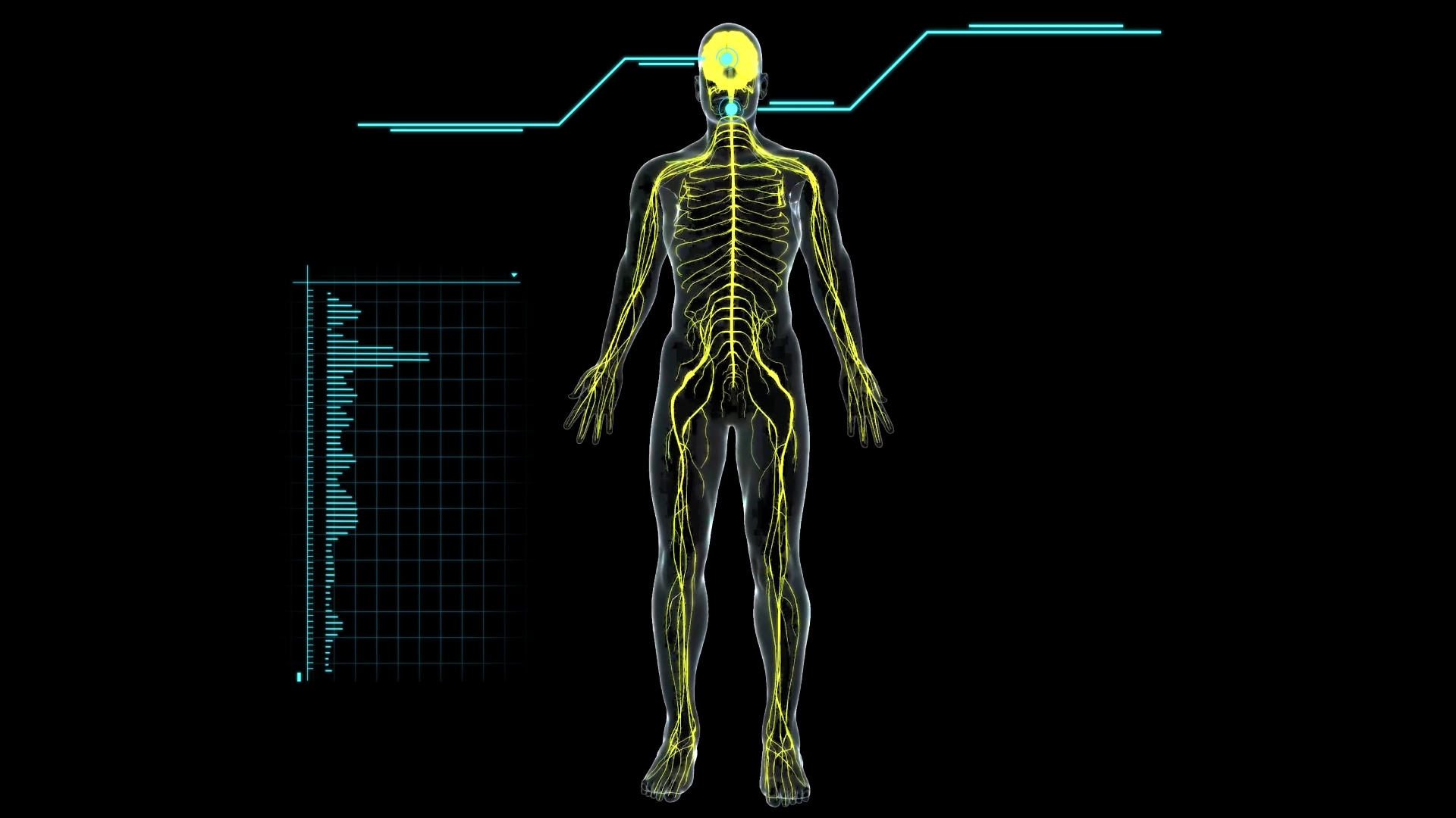 科技人体医疗透明通道素材视频的预览图