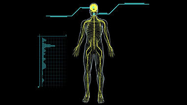 科技人体医疗透明通道素材视频的预览图
