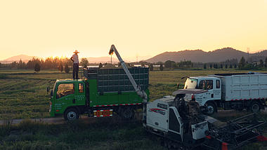 4K航拍秋日农民在田间收割稻子视频的预览图