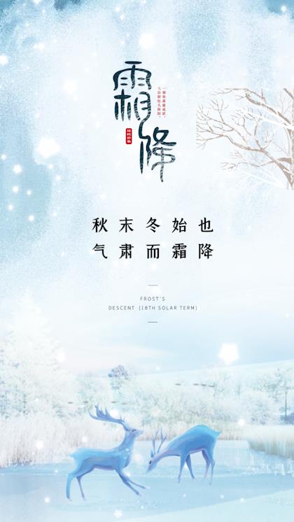 唯美大气中国传统节气霜降视频海报AE模板视频的预览图