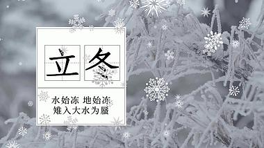 立冬雪花节气白色背景视频AE模板视频的预览图