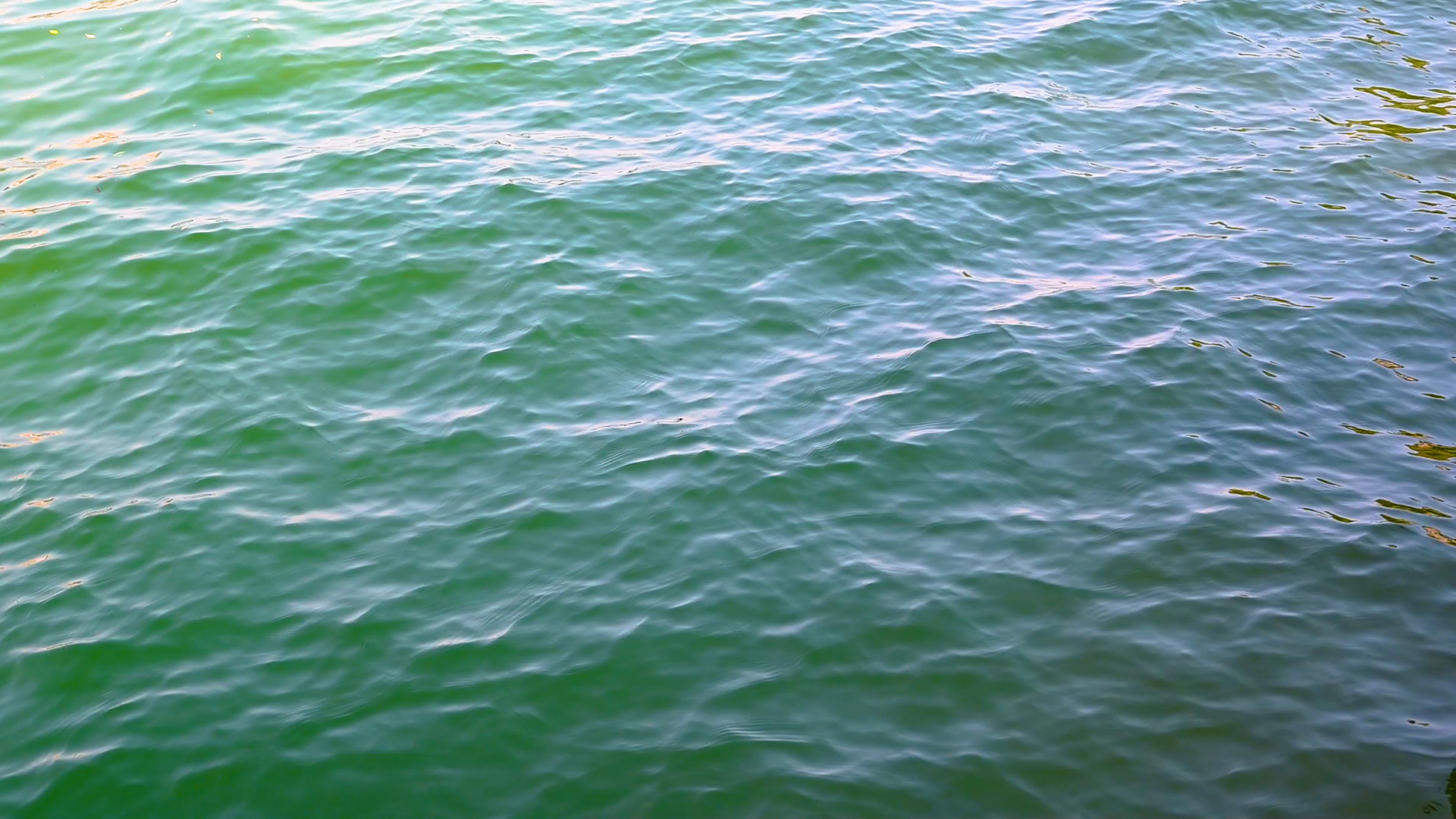 1080波光粼粼的水面纹理实拍视频视频的预览图