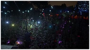 4k北京玉渊潭公园萤火虫灯光实拍视频的预览图