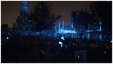 4k北京公园萤火虫灯光唯美实拍视频的预览图