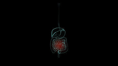 肠胃科技人体元素通道视频素材视频的预览图