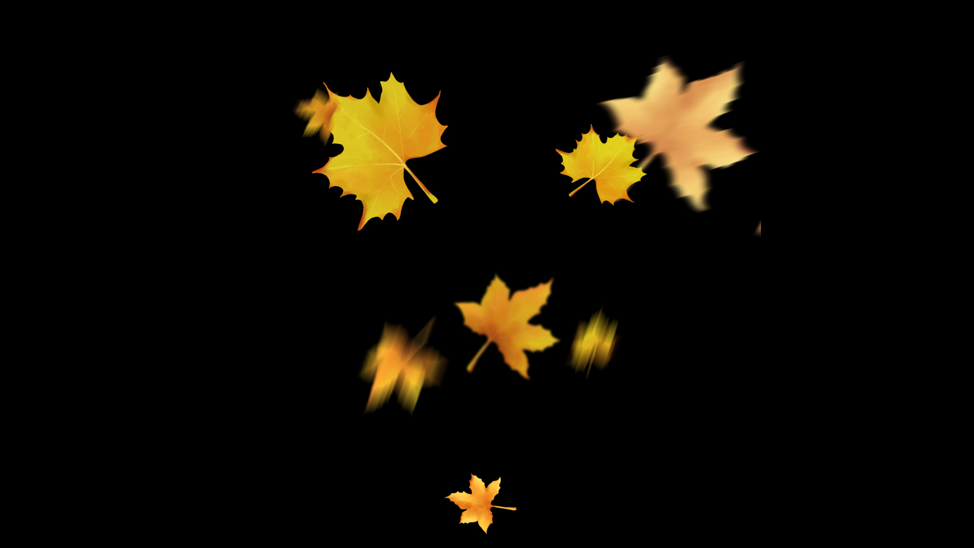 秋天植物树叶漂浮叶子树叶枫叶落叶挂件装饰带通道视频的预览图