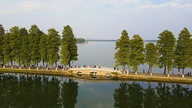 4K航拍武汉东湖游客来往自然风光视频的预览图