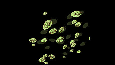 植物树叶漂浮叶子树叶枫叶落叶挂件装饰带通道视频的预览图