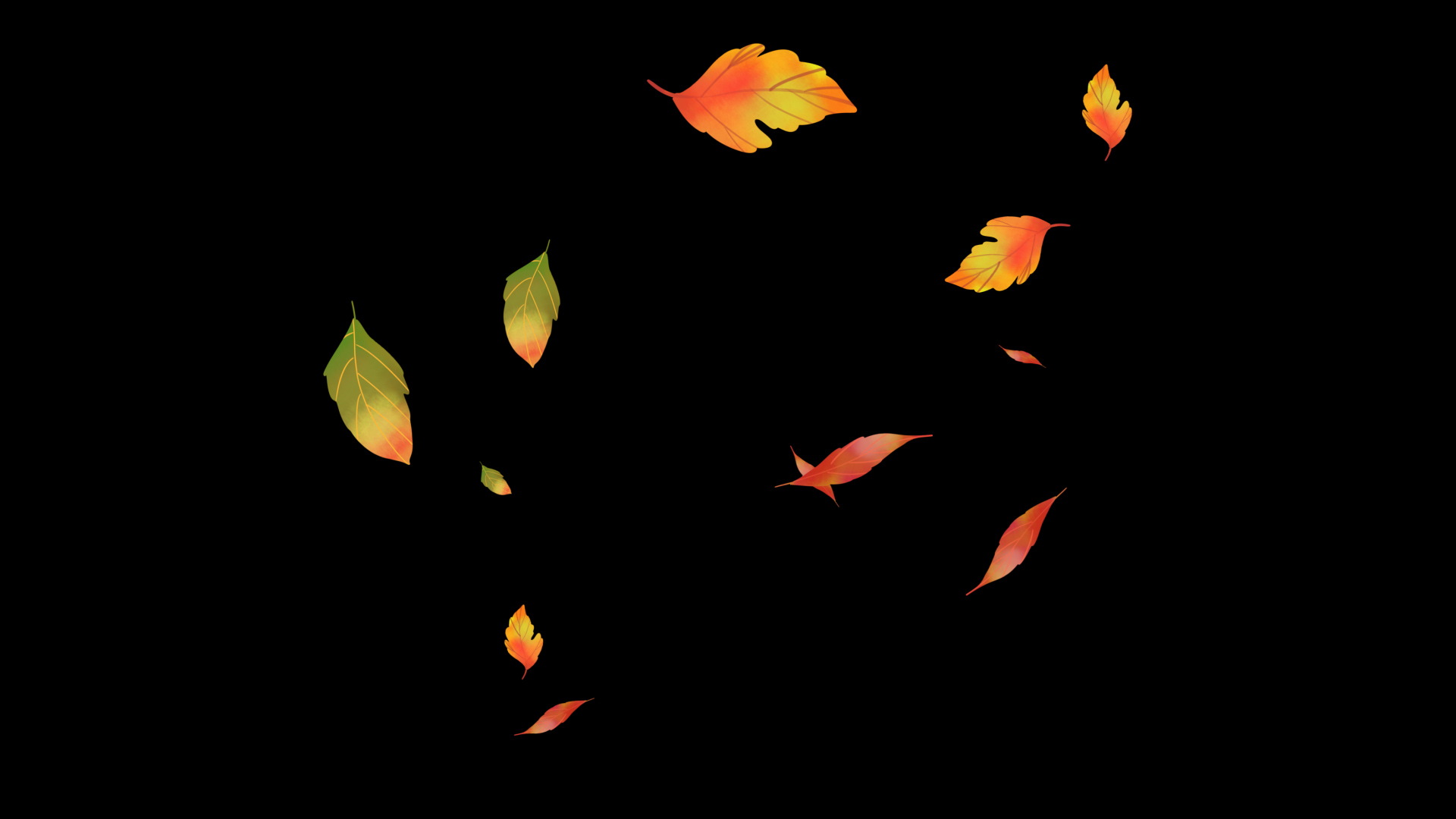 秋天秋季树叶落叶飘落挂件装饰带通道视频的预览图
