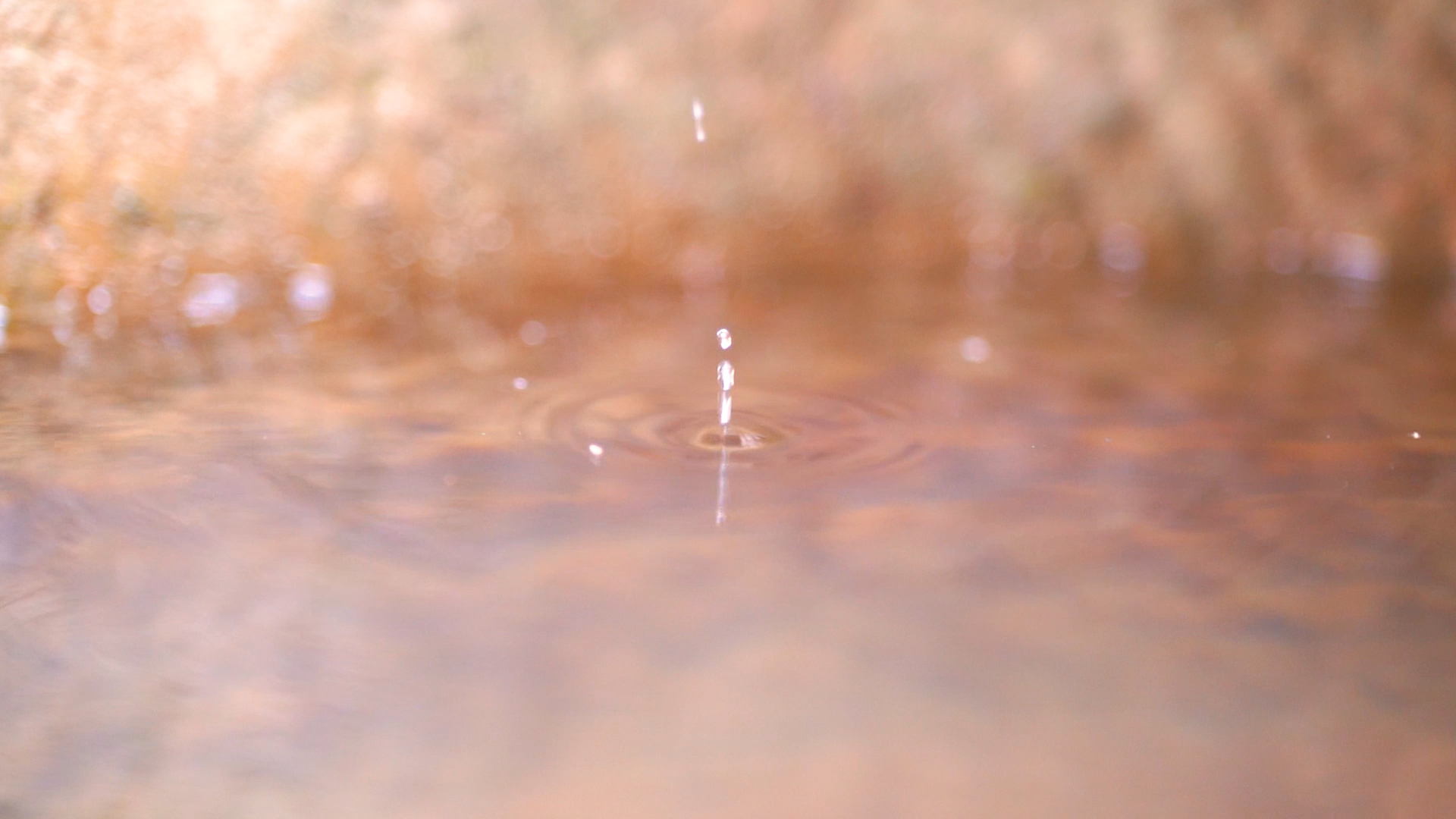 4k实拍意境风光水滴滴落溅起水花视频的预览图
