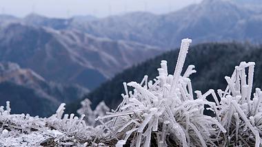 4K实拍冬天雾凇冰霜空镜视频素材视频的预览图