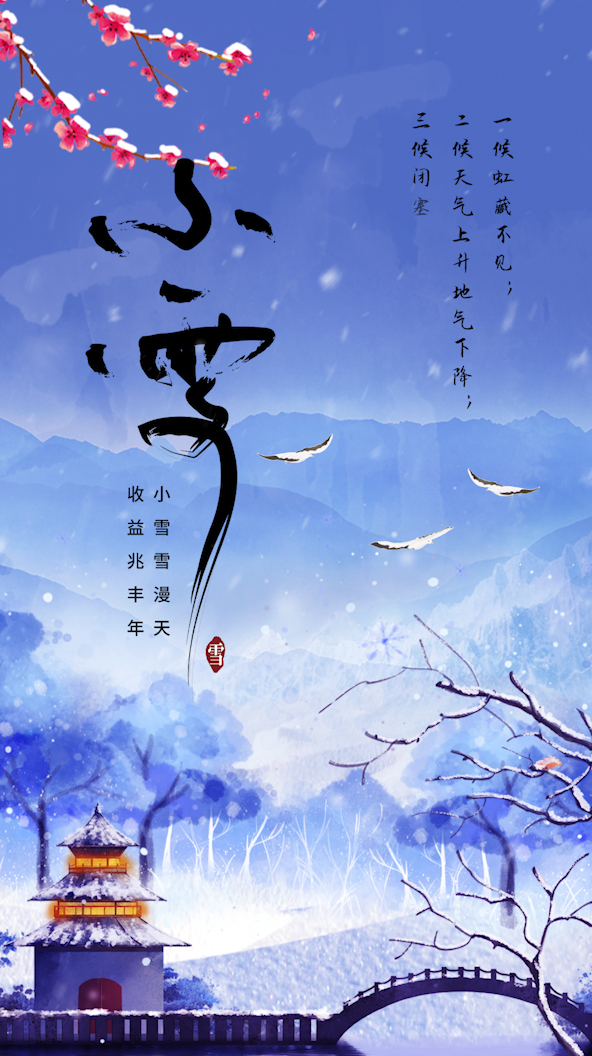 小雪节气树枝蓝色中国风竖版视频海报ae模版视频的预览图