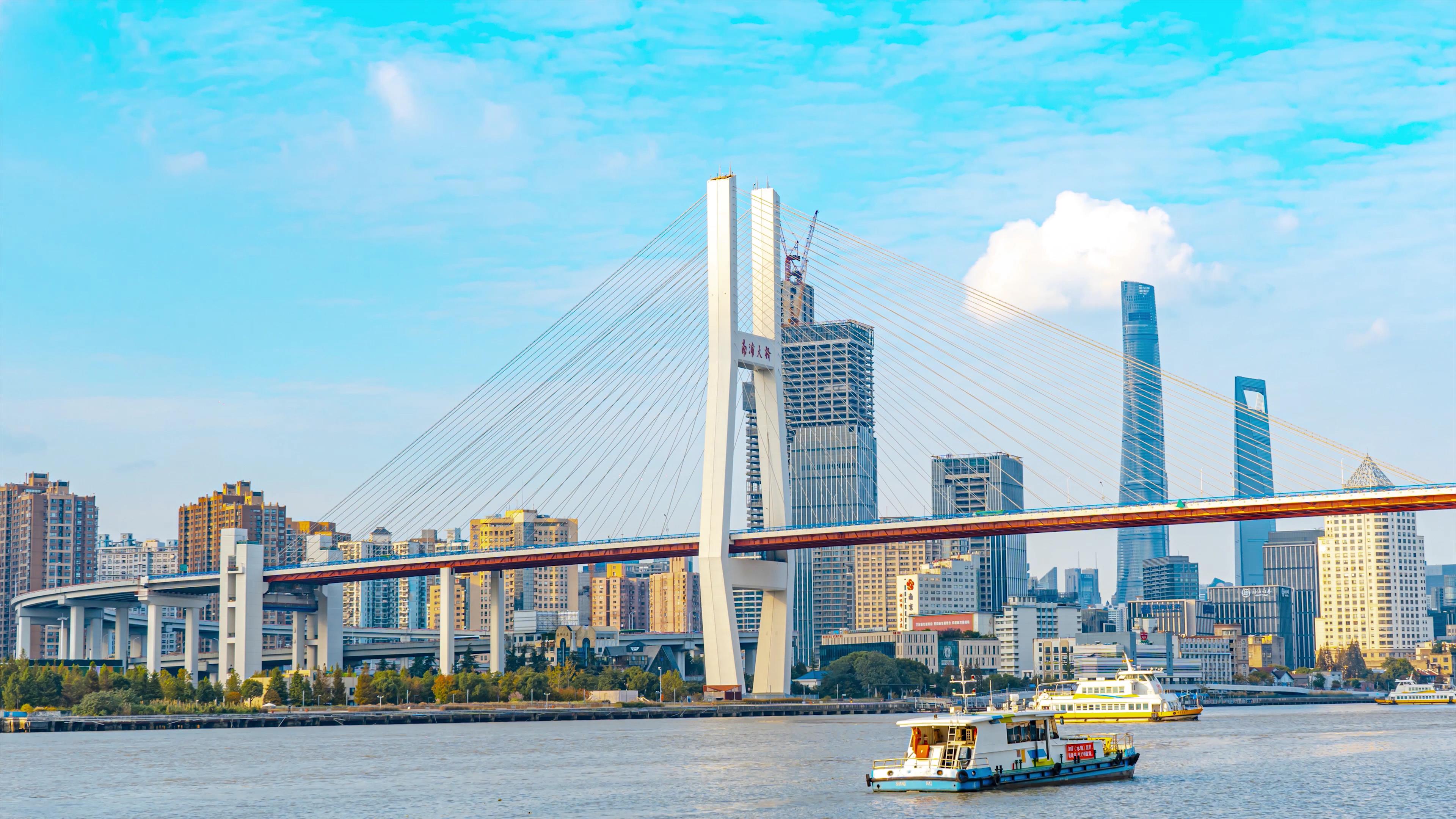 8K大气延时上海南浦大桥船只交通视频的预览图