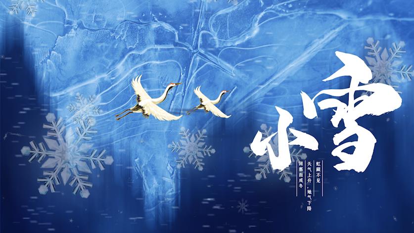 小雪节气飞鸟雪花蓝色简洁背景视频AE模板视频的预览图