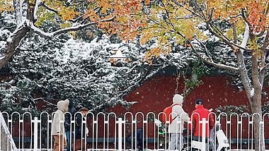 4k北京红墙下雪景实拍视频的预览图