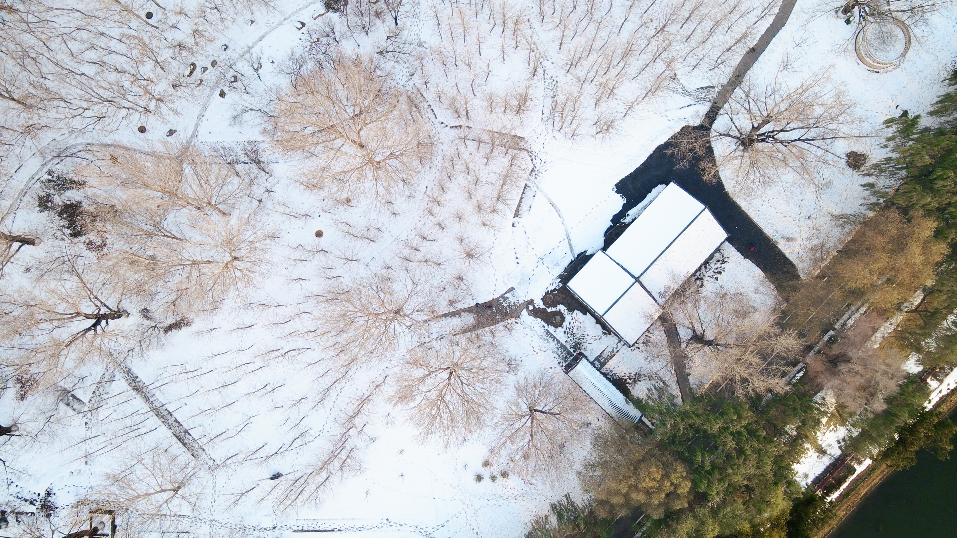 4K唯美航拍俯瞰沈阳沈水湾公园大雪覆盖道路视频的预览图