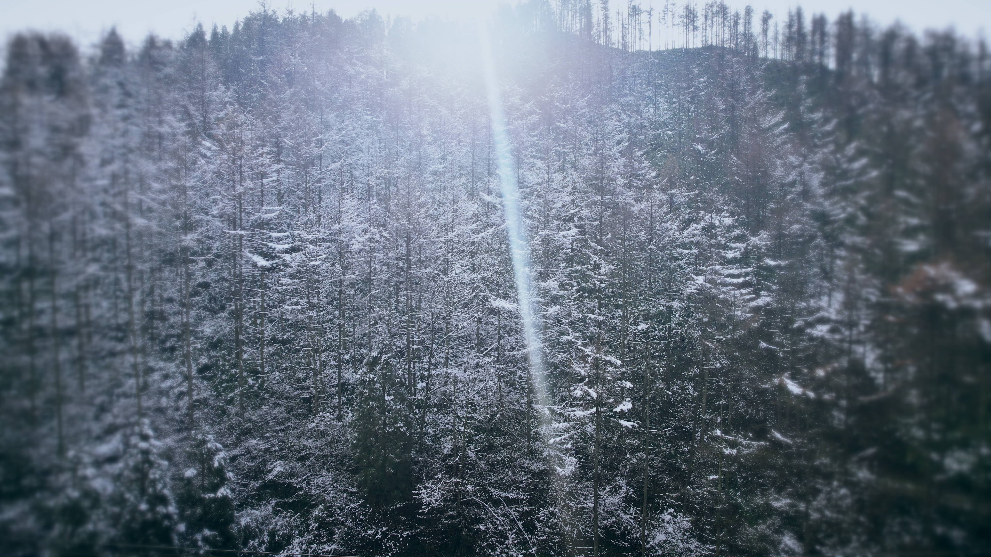 4K冬天森林雪景意境航拍视频的预览图