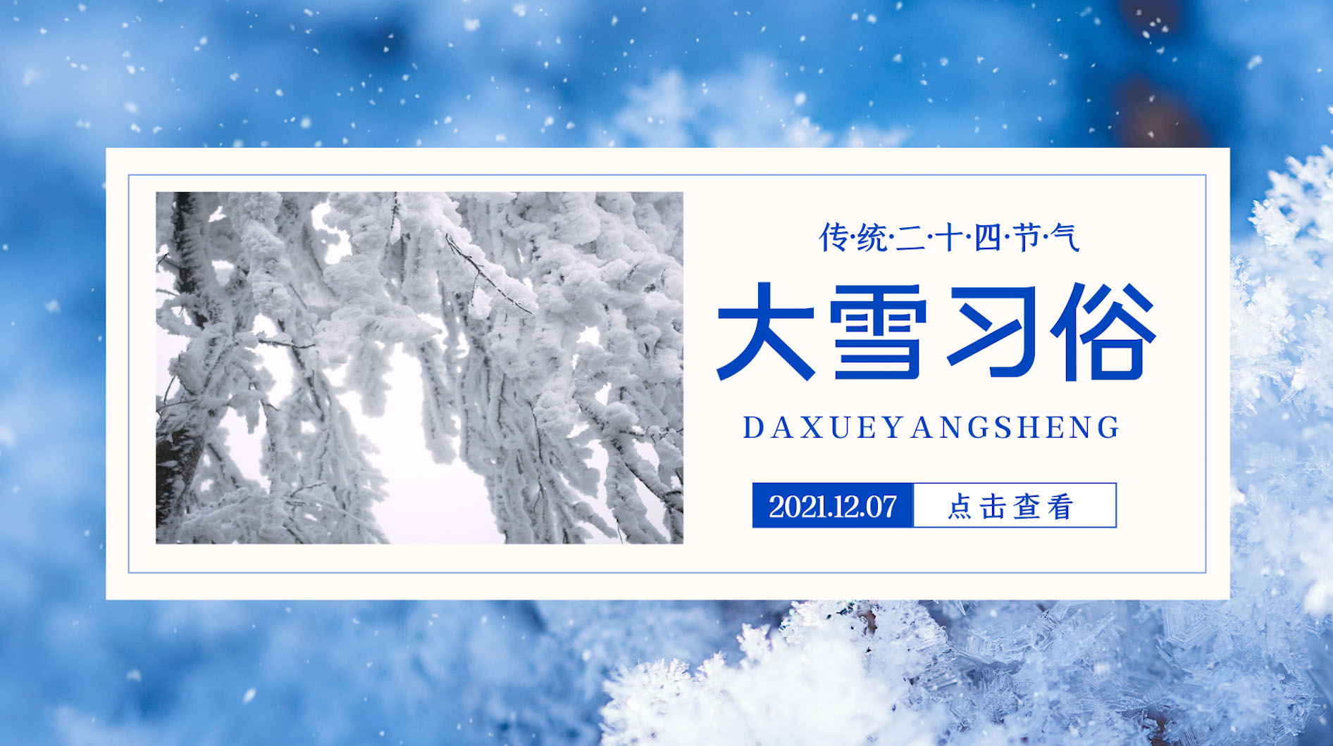 大雪习俗二十四节气蓝色简约视频海报ae模版视频的预览图
