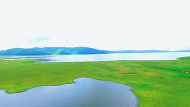 4K航拍前进拍摄内蒙古通辽湿地草原湖泊视频的预览图