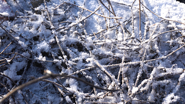 4K冬天风景意境雪景实拍空镜头视频的预览图