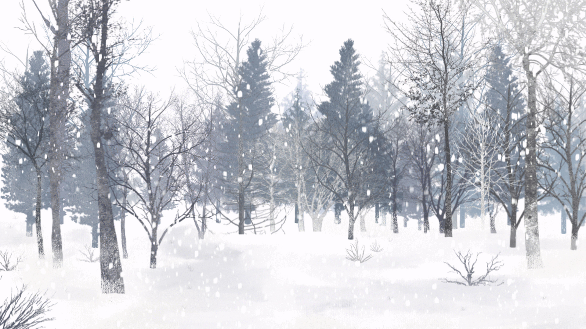 水墨中国风冬天冬季树林大雪雪景视频背景视频的预览图