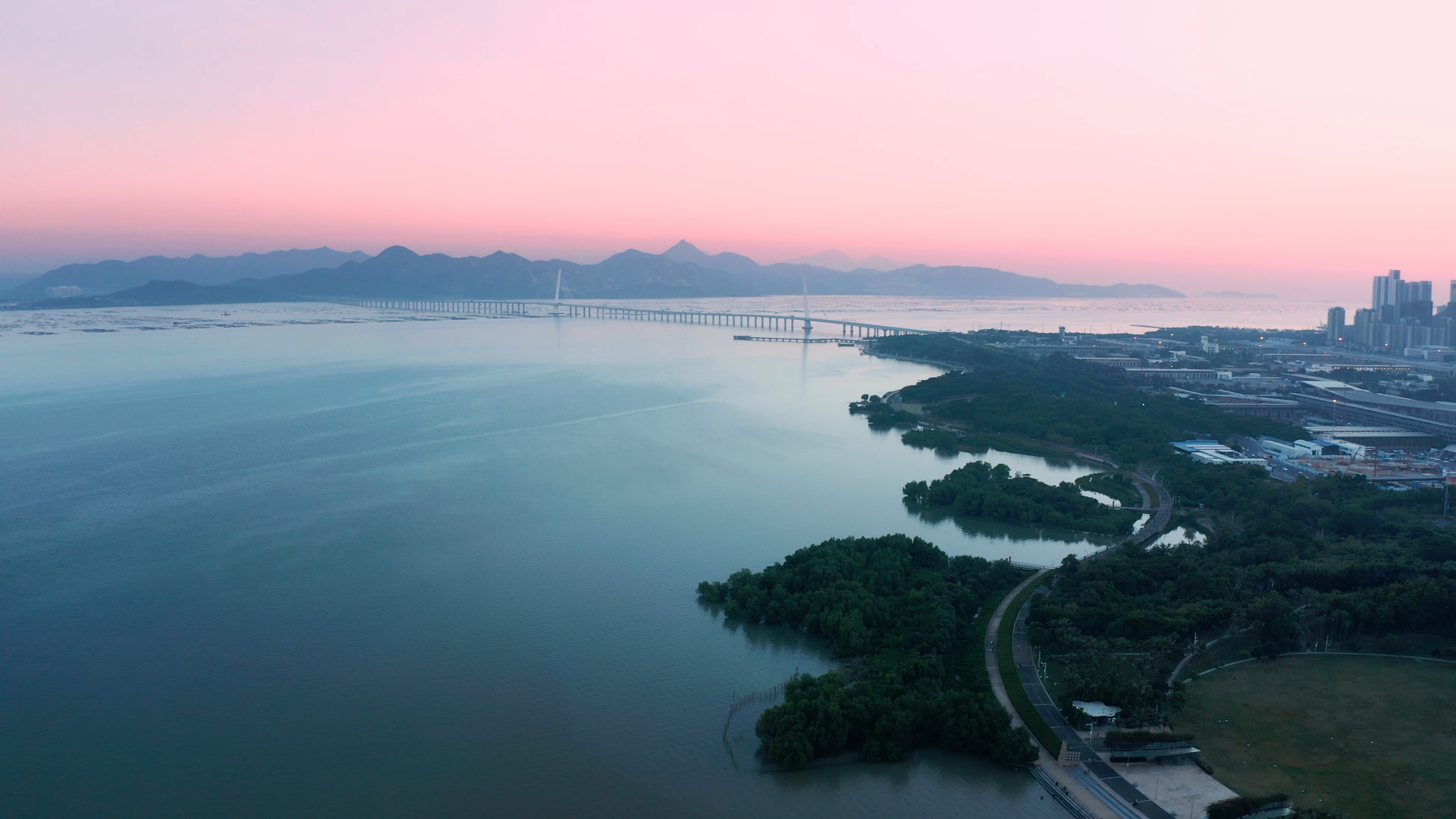 4k航拍深圳湾公路大桥粉色晚霞风光视频的预览图