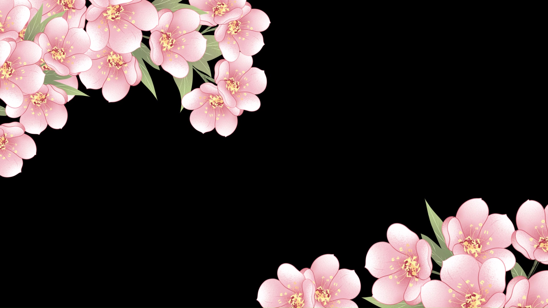 粉色小清新樱花春天元素视频边框视频的预览图