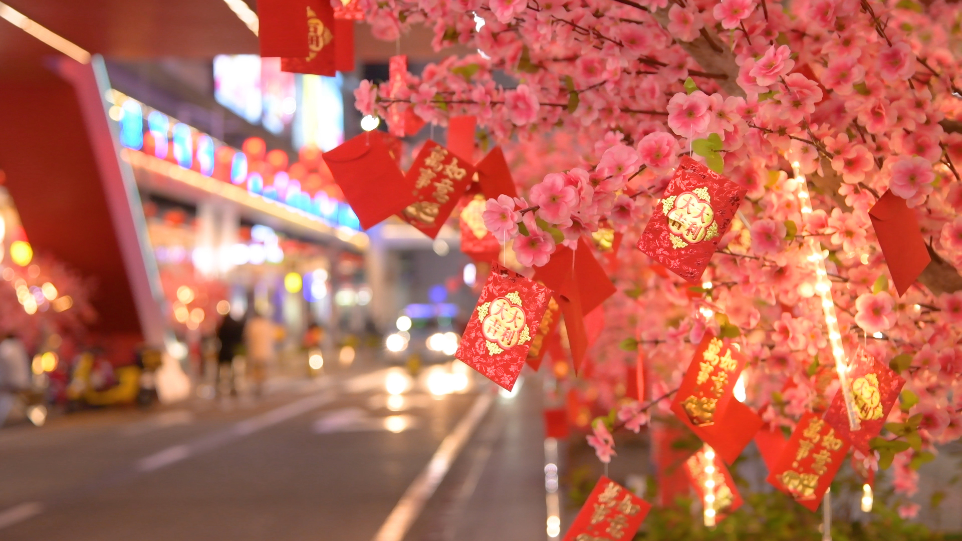 4K夜晚粉色花朵许愿树上挂着的的红包空镜视频的预览图