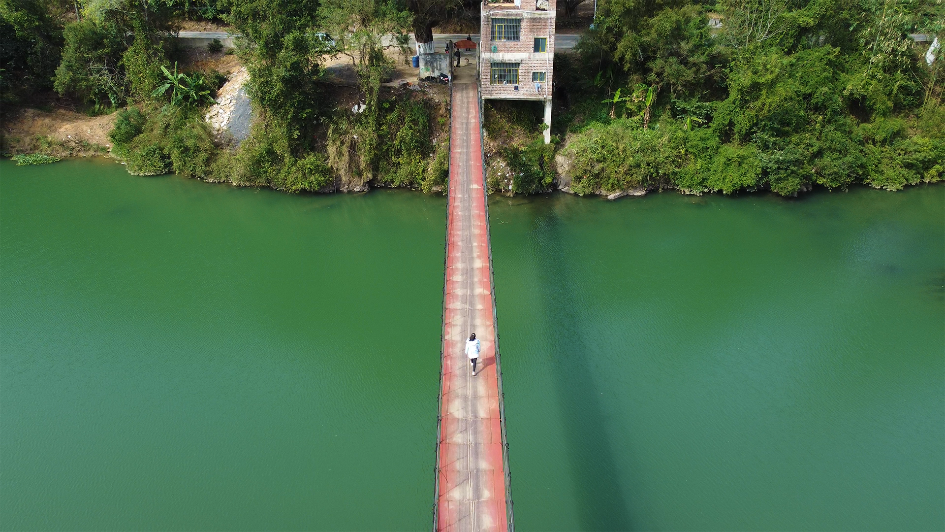 4K航拍人青山绿水的吊桥上行走实拍视频视频的预览图