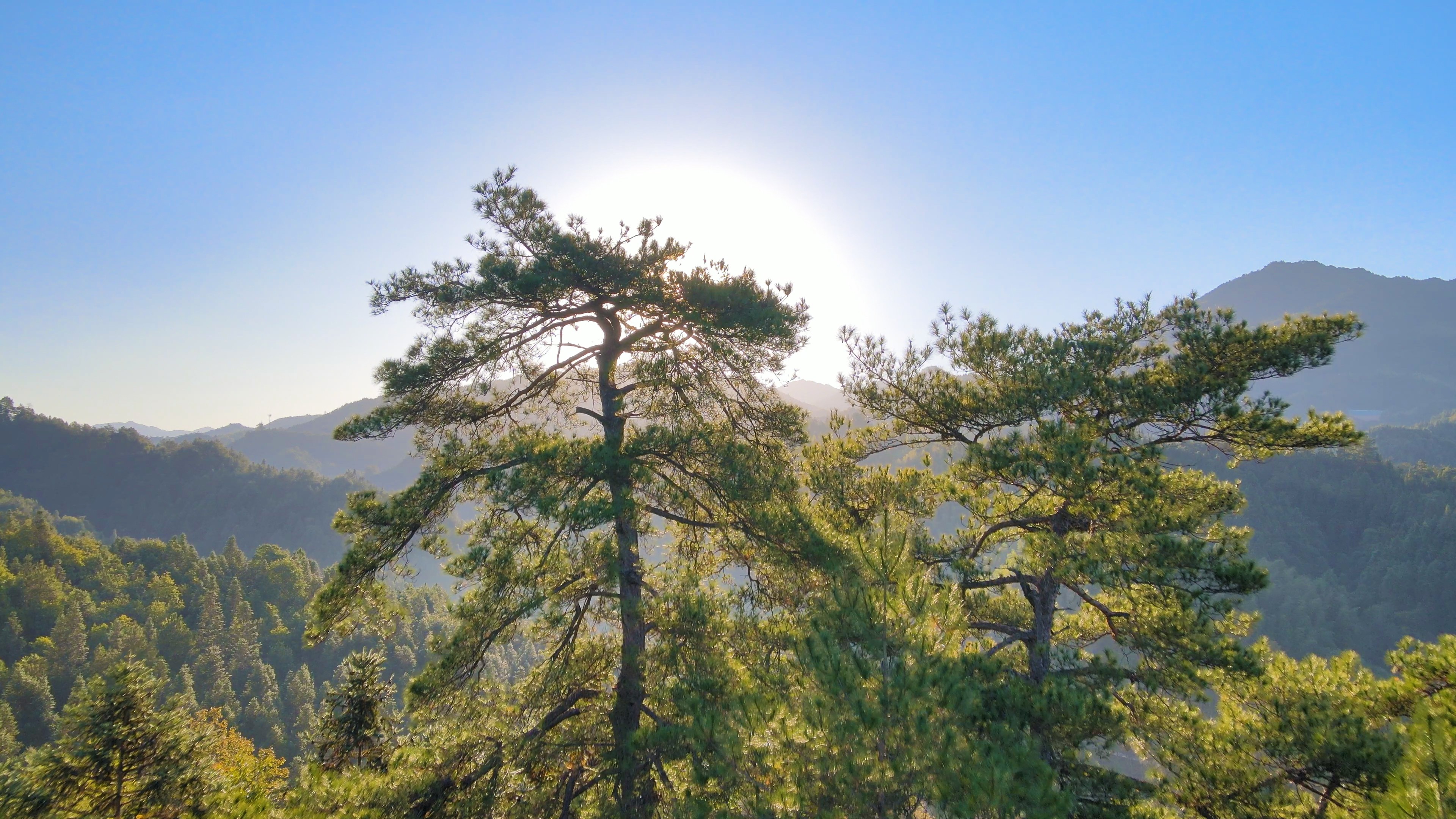 4K航拍井冈山森林日出阳光普照大地大自然清晨视频的预览图
