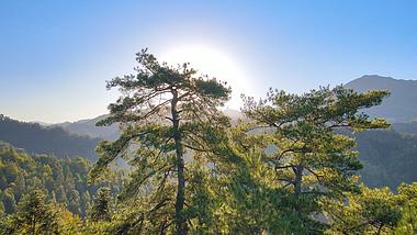 4K航拍井冈山森林日出阳光普照大地大自然清晨视频的预览图