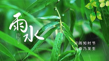 原创绿色竹子雨水二十四节气水滴绿色简约片头视频AE模板视频的预览图